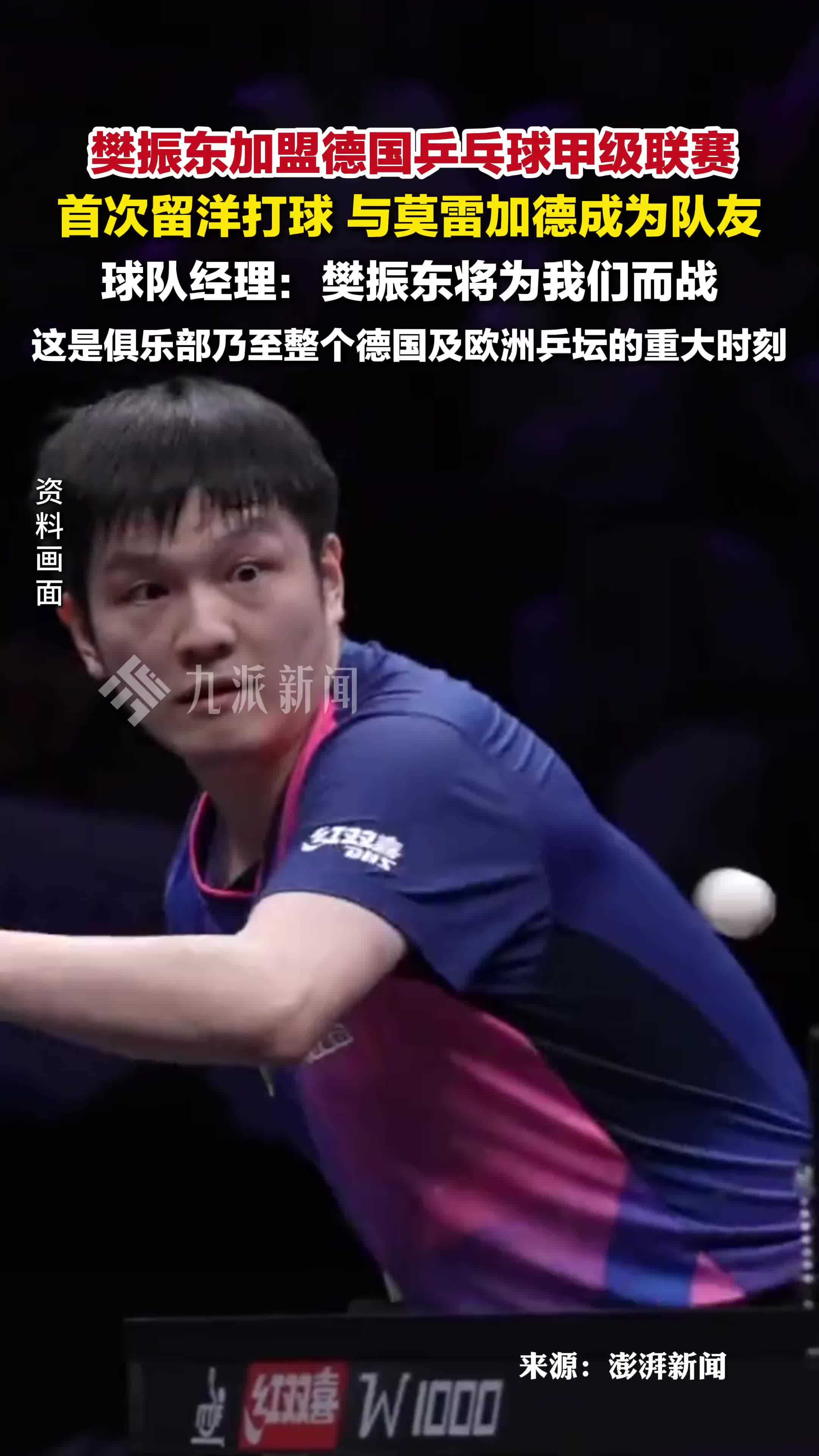 樊振东德甲首秀已定，在8月31日，球迷：一切顺利，所向披靡